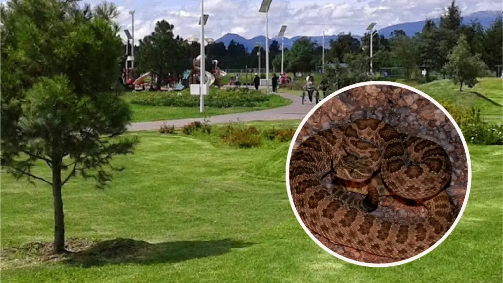 Conoce el pueblo olvidado en Edomex que esconde un parque con zoológico