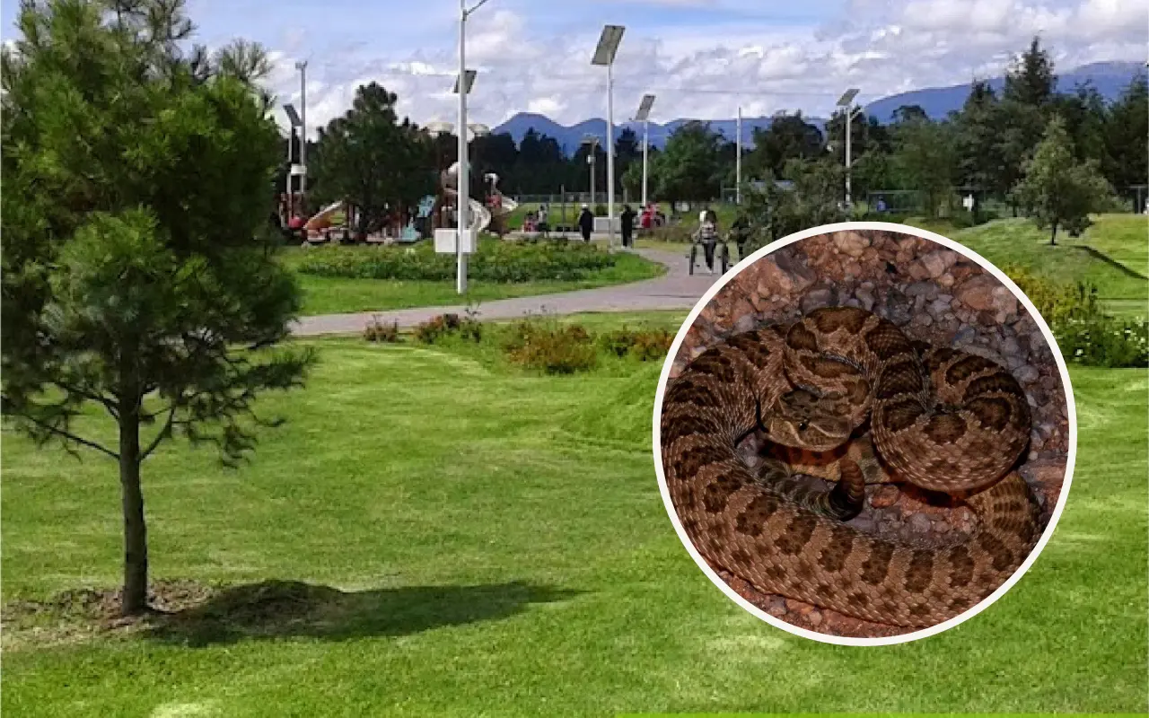 Parque Ambiental Bicentenario en Metepec. Foto: FB/ Museo Casa del Risco (Canva)