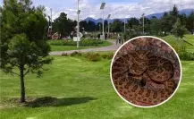 Conoce el pueblo olvidado en Edomex que esconde un parque con zoológico