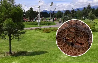 Conoce el pueblo olvidado en Edomex que esconde un parque con zoológico