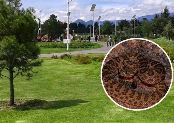 Conoce el pueblo olvidado en Edomex que esconde un parque con zoológico
