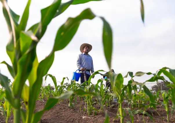 El campo de Durango enfrenta una nueva amenaza, ¿de qué se trata?