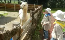 Curso de verano en zoológico de Zacango incluye contacto con animales, estos son los requisitos