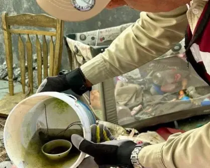 Siguen las acciones para combatir el dengue en el sur de Tamaulipas