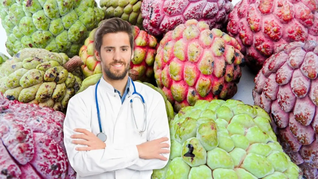 Saramuyo, el fruto de temporada en Yucatán con beneficios anticancerígenos