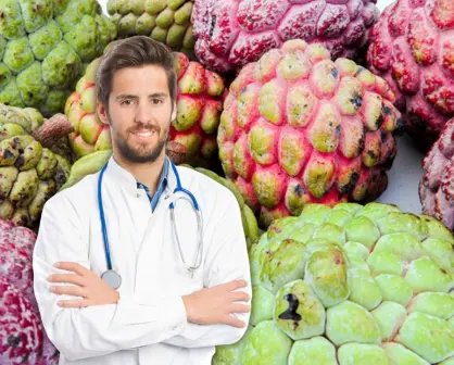 Saramuyo, el fruto de temporada en Yucatán con beneficios anticancerígenos