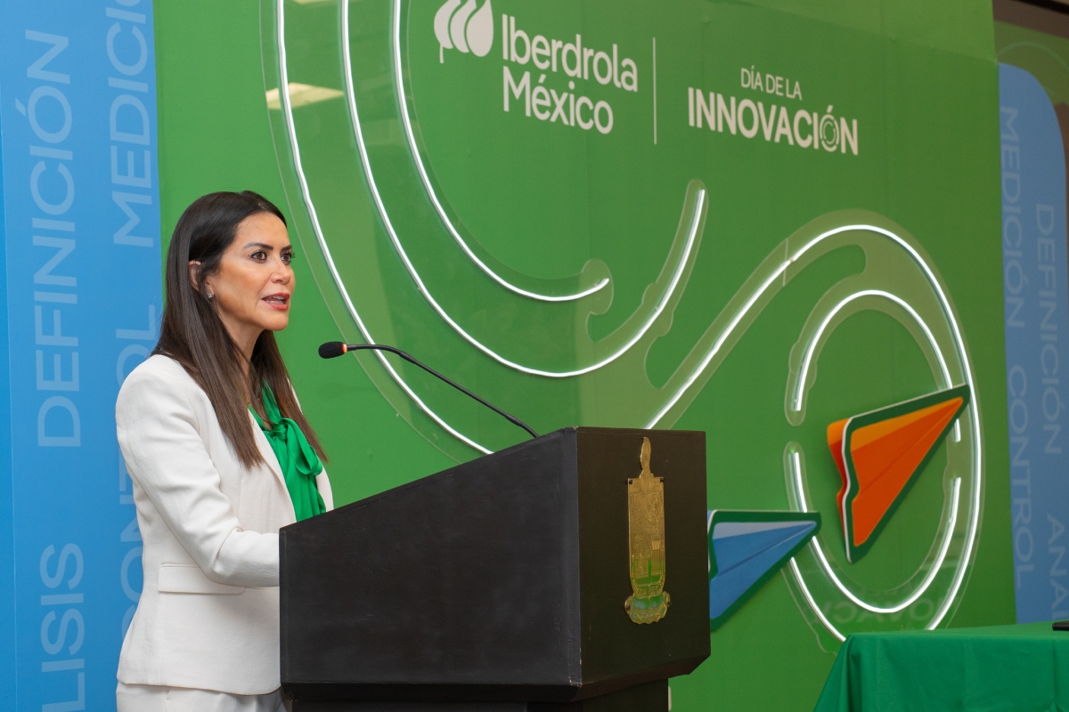 Caso de Iberdrola