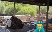 El pequeño pueblo oculto de Durango cuyo mezcal se presume como uno de los mejores