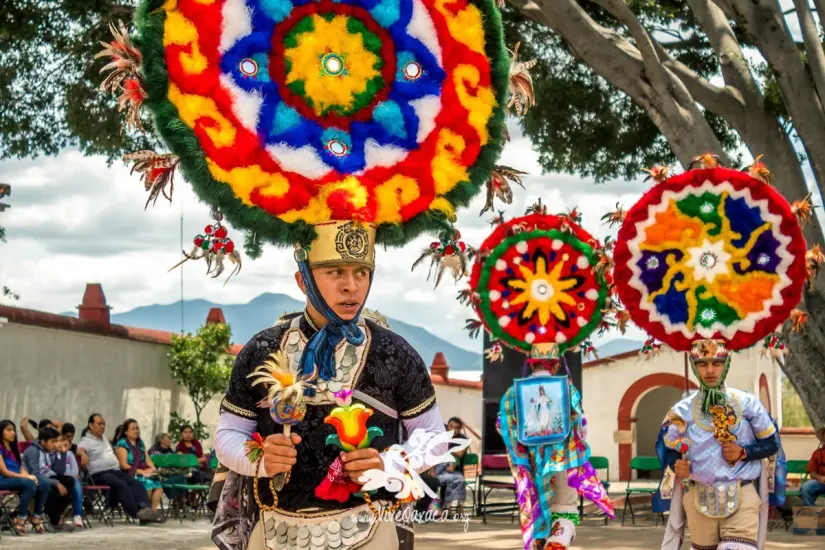 Foto: Vive Oaxaca