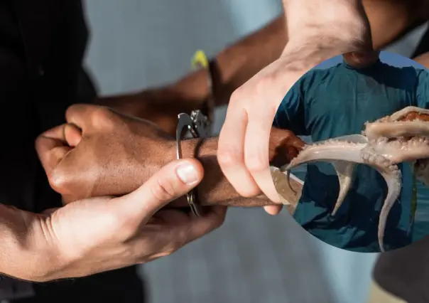 Capturan a 3 hombres por pesca ilegal de pulpo en la costa de Yucatán