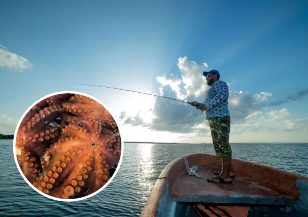Esta es la joya del mar que se captura en BCS y mueve la economía pesquera