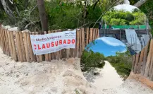 Profepa detecta daño a manglares en Holbox; clausura obras sin permisos