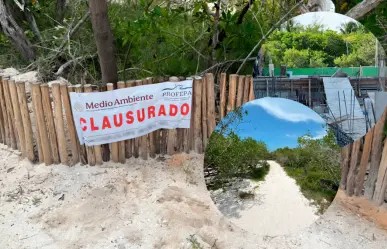 Profepa detecta daño a manglares en Holbox; clausura obras sin permisos