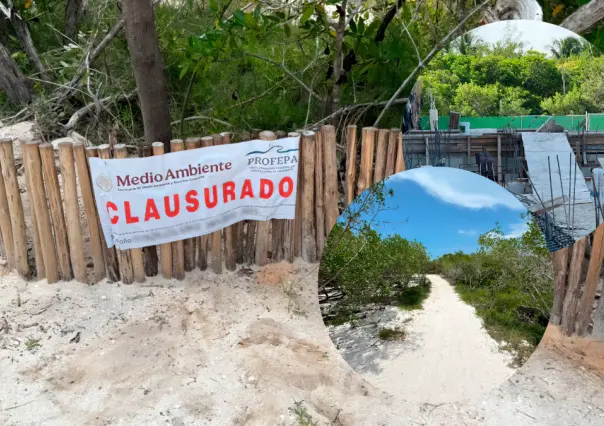 Profepa detecta daño a manglares en Holbox; clausura obras sin permisos