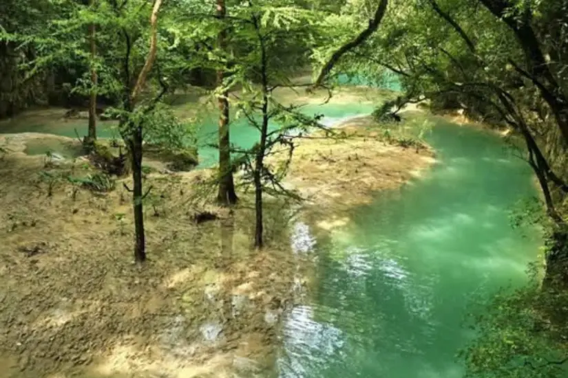 El río Gallitos y su frondosa vegetación | Foto: Jose De Leon 