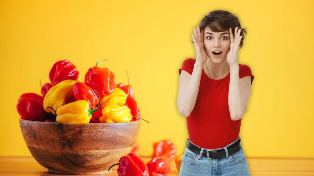 El ingrediente yucateco picante y afrodisíaco que despierta los sentidos