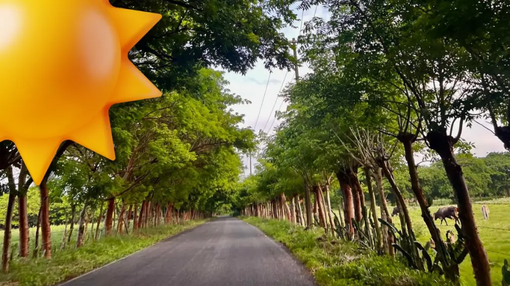 Clima en Coahuila: ¿en qué región para más calor este 25 de julio? 
