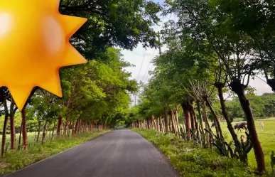 Clima en Coahuila: ¿en qué región para más calor este 25 de julio? 