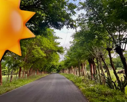 Clima en Coahuila: ¿en qué región para más calor este 25 de julio? 