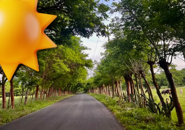 Clima en Coahuila: ¿en qué región para más calor este 25 de julio? 