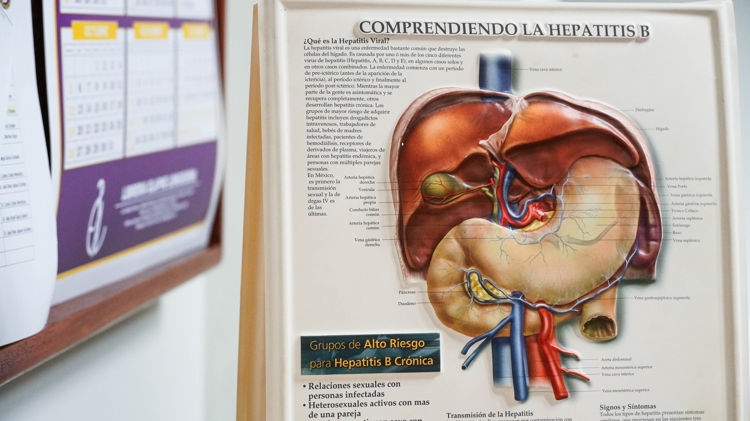 imagen-cuerpo imagen-cuerpo