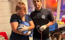 VIDEO | Policía de Santa Catarina auxilia a joven en labor de parto