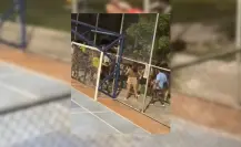 Tremendo pleito entre equipos de fútbol rápido en un parque de Mérida, Yucatán (VIDEO)