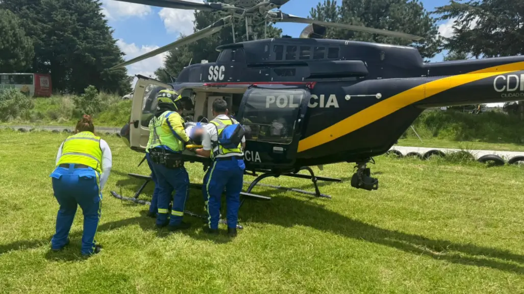 Rescatista es mordido por víbora de cascabel durante operativo en el Ajusco, CDMX