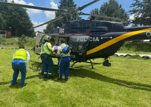 Rescatista es mordido por víbora de cascabel durante operativo en el Ajusco, CDMX