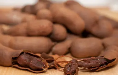 Así puedes aprender a preparar dulces tradicionales en Nuevo León