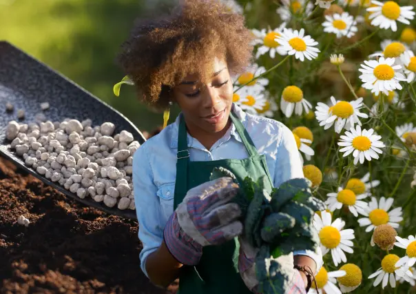 Té de manzanilla y tierra: podrían ser el secreto para devolverle la vida a tus plantas tristes