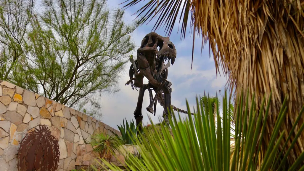 Dejará turismo en Coahuila mil millones pesos en derrama económica por vacaciones
