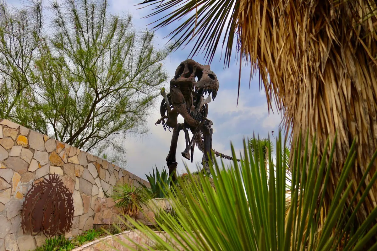 Con museos reconocidos como el Museo del Desierto o el Museo de las Aves, y una arquitectura colonial que resalta en el Centro Histórico, es ideal para recorrer en familia Saltillo./Foto: Secretaría de Turismo y Pueblos Mágicos de Coahuila