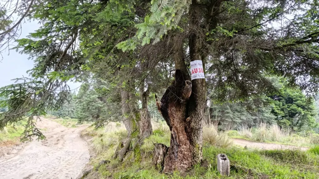 Alistan ecoparque en las faldas de La Malinche, en los límites de Puebla y Tlaxcala