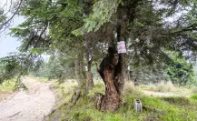 Alistan ecoparque en las faldas de La Malinche, en los límites de Puebla y Tlaxcala