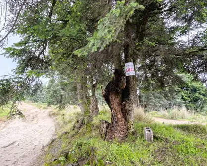 Alistan ecoparque en las faldas de La Malinche, en los límites de Puebla y Tlaxcala