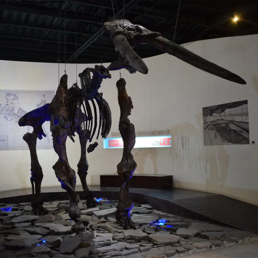 Foto: 101 Museos