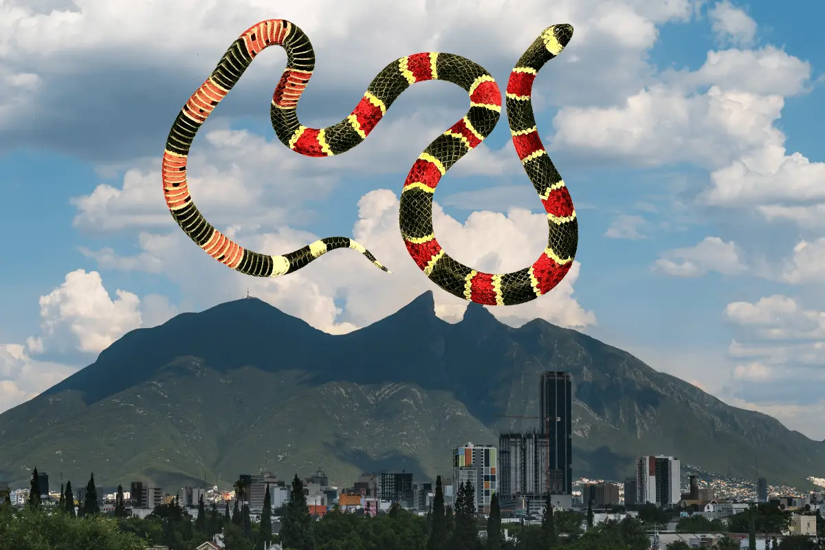 El joven indicó que en una de sus travesías por el famoso cerro Agujerado en el municipio de Juárez, Nuevo León, tuvo un encuentro. Foto: Canva.