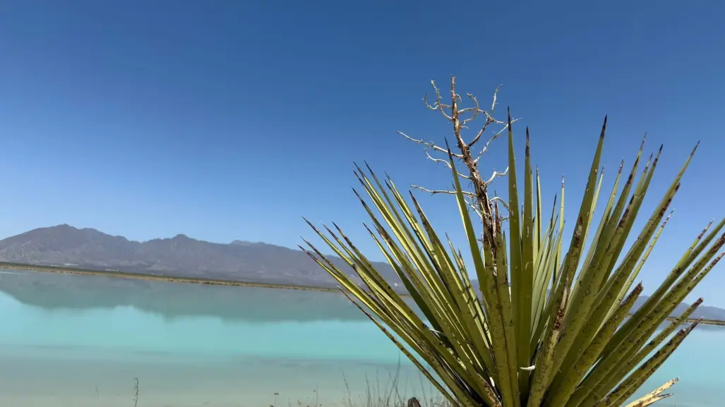 ¿Cuáles son los principales lagos y cuerpos de agua en Coahuila?