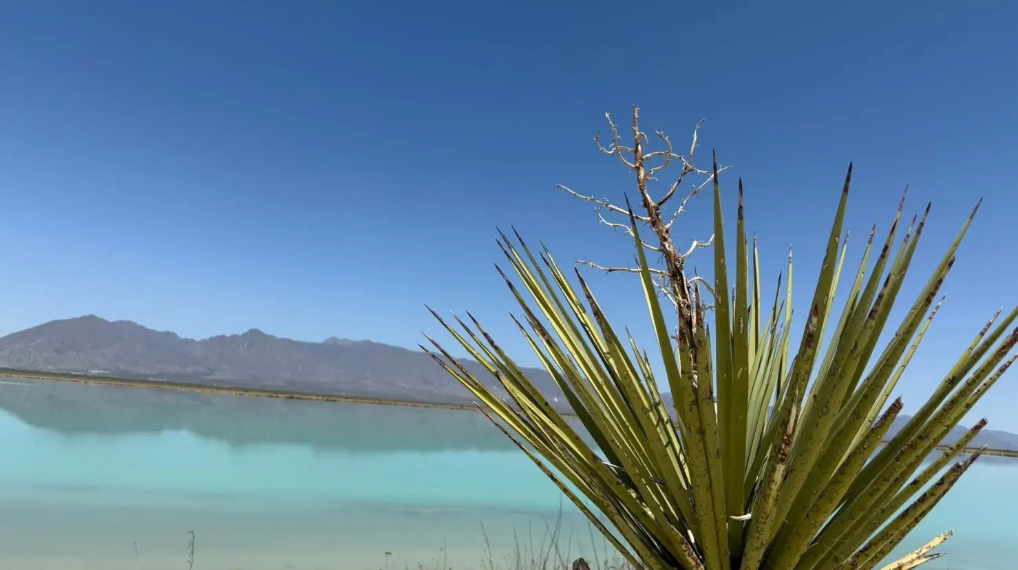 Cuatro ciénegas. Foto de México Desconocido.