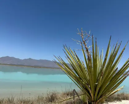 ¿Cuáles son los principales lagos y cuerpos de agua en Coahuila?