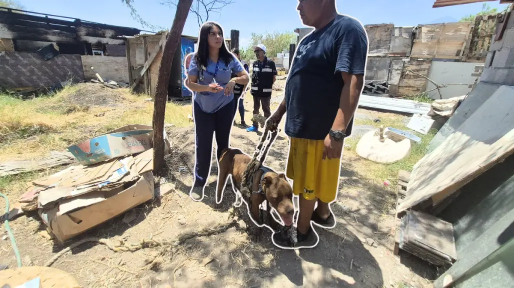 Autoridades rescatan, vacunan y alimentan a mascotas tras incendio en colonia San Martín