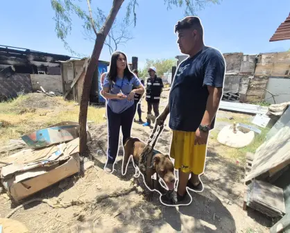 Autoridades rescatan, vacunan y alimentan a mascotas tras incendio en colonia San Martín