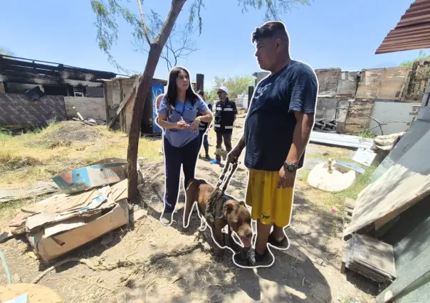 Autoridades rescatan, vacunan y alimentan a mascotas tras incendio en colonia San Martín