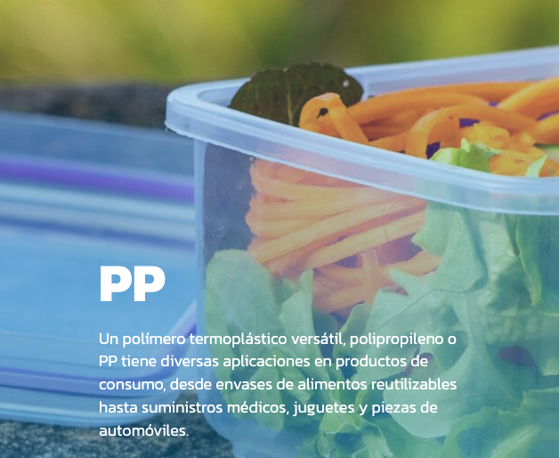 imagen-cuerpo