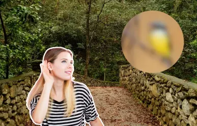 Conoce a este animal nativo de Nuevo León que sobrevive en la ciudad sin perder su canto