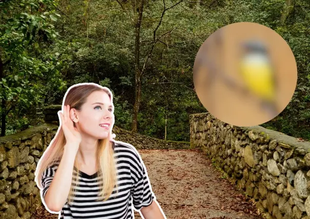 Conoce a este animal nativo de Nuevo León que sobrevive en la ciudad sin perder su canto