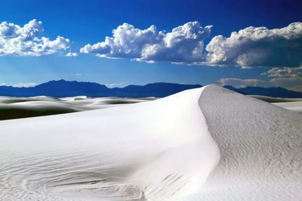 Desierto de Coahuila. Foto de masdemx.