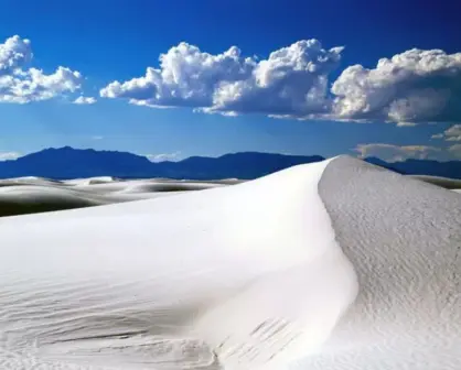 5 cosas que no sabías del desierto de Coahuila