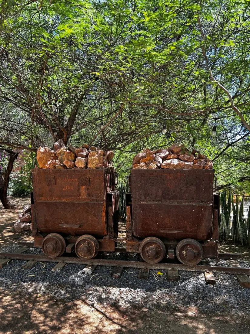 Exposición de una escultura en el patio del Museo Ruta de Plata en El Triunfo, BCS. Foto Ivette Pérez / POSTABCS.